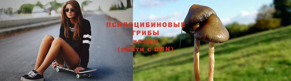 ешки Новодвинск
